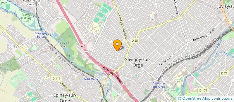 localisation de l'entreprise INDIVSION DA SILVA NEIVA / DE SA NEIVA / DA SILVA NEIVA à SAVIGNY-SUR-ORGE