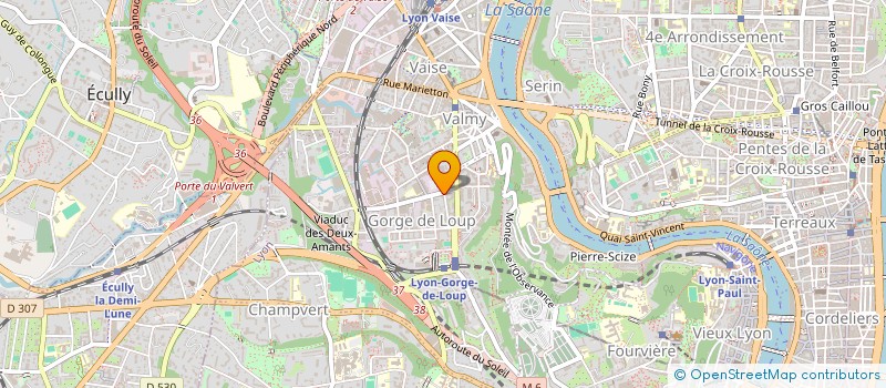 localisation de l'entreprise INDUSTRIAL PROJECTS SERVICES FRANCE  LYON