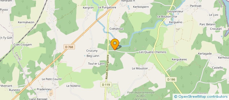 localisation de l'entreprise INES  CARNAC