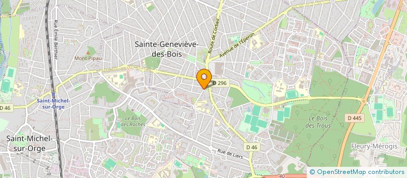 localisation de l'entreprise INES à SAINTE-GENEVIEVE-DES-BOIS
