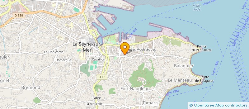 localisation de l'entreprise INESIS à LA SEYNE-SUR-MER