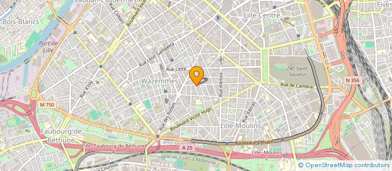 localisation de l'entreprise INFECTIO-LILLE à LILLE