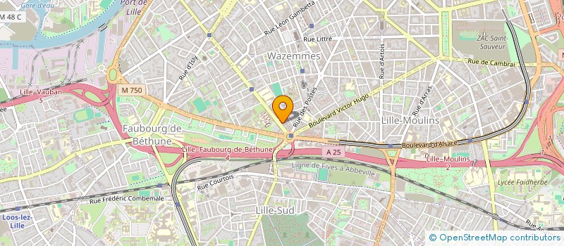 localisation de l'entreprise INFO LOEB à LILLE