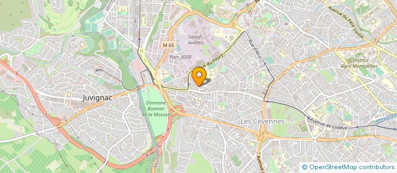 localisation de l'entreprise INFO NET SERVICES à MONTPELLIER