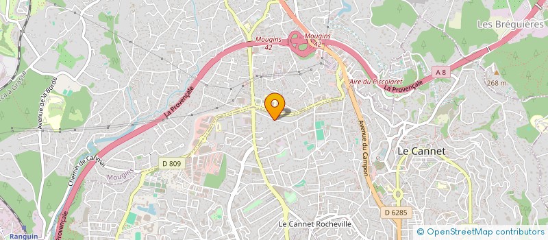 localisation de l'entreprise INFORMATIQUE DIFFUSION à LE CANNET