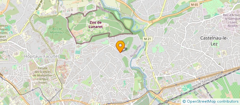 localisation de l'entreprise INFORMATIQUE MUTU OCCITANIE à MONTPELLIER
