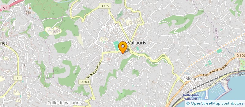 localisation de l'entreprise INFOTROPY à VALLAURIS