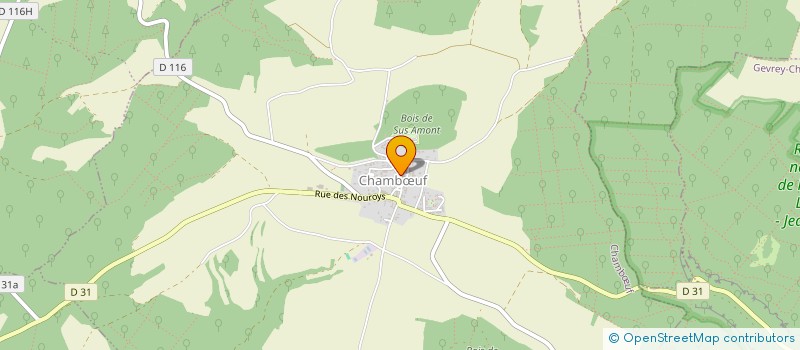 localisation de l'entreprise INGE-RESEAUX  CHAMBUF