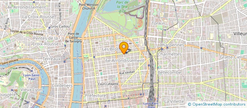 localisation de l'entreprise INGENIERIE EN PRESTATION DE SERVICES  LYON