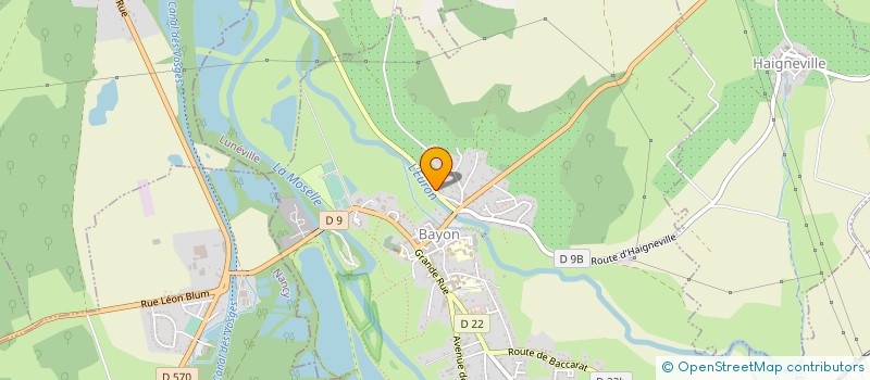 localisation de l'entreprise INGENIERIE NUTRITION DEVELOPPEMENT SANTE  BAYON