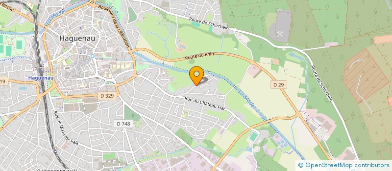 localisation de l'entreprise INGONYAMA  HAGUENAU