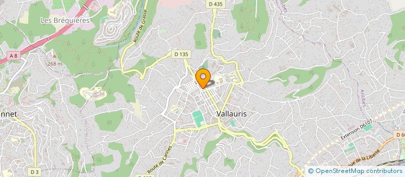 localisation de l'entreprise INITIUM JLR à VALLAURIS