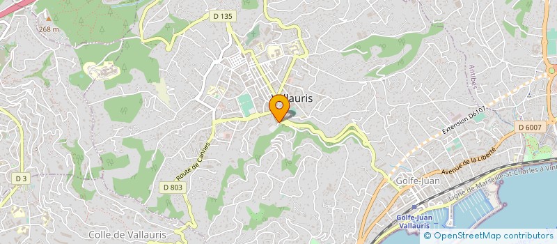 localisation de l'entreprise INNOV' CONCEPT CONSTRUCTION à MOUANS-SARTOUX