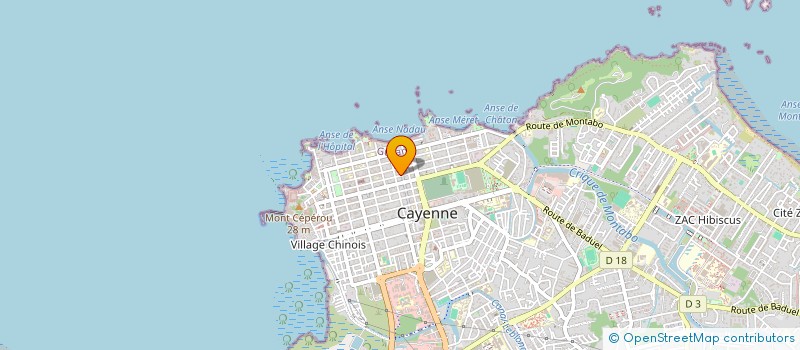 localisation de l'entreprise INSERTION DEVELOPPEMENT ECONOMIQUE & ENVIRONNEMENT SOLIDAIRE  CAYENNE