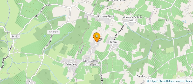 localisation de l'entreprise INSIGHT CONSULTANT  SAINT-GENES-DE-FRONSAC