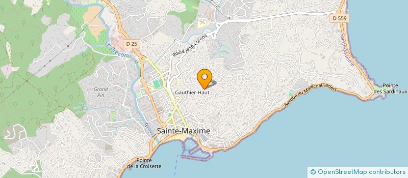 localisation de l'entreprise INSOMNIA à SAINTE-MAXIME