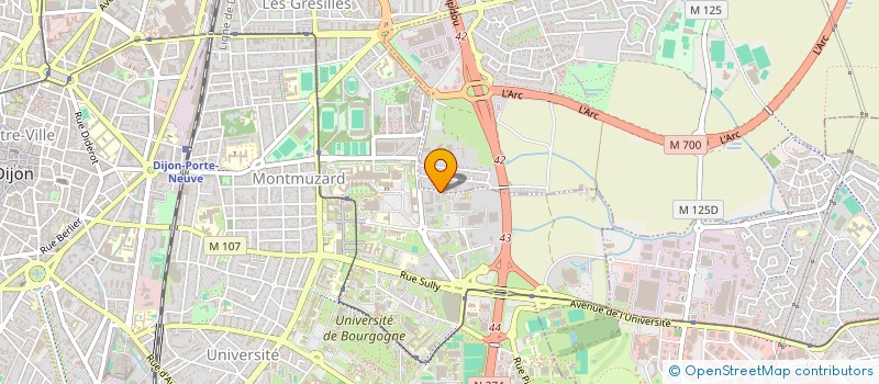 localisation de l'entreprise INST REG FORMATION PROFE MASSEURS KINESI à DIJON