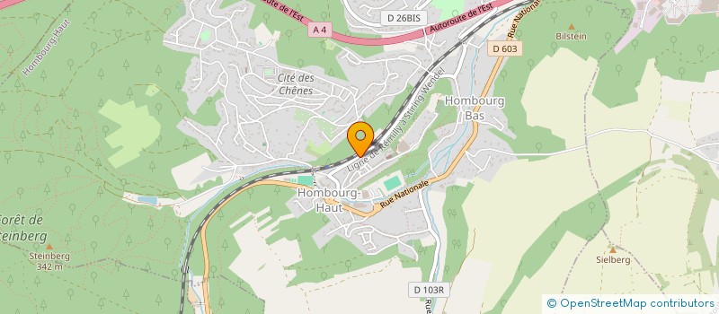 localisation de l'entreprise INSTEL à HOMBOURG-HAUT