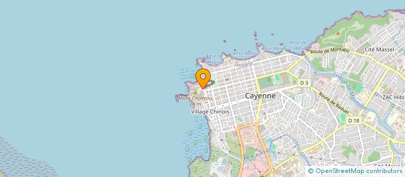 localisation de l'entreprise INSTITUT AMAZONIEN DES POLITIQUES PUBLIQUES  CAYENNE