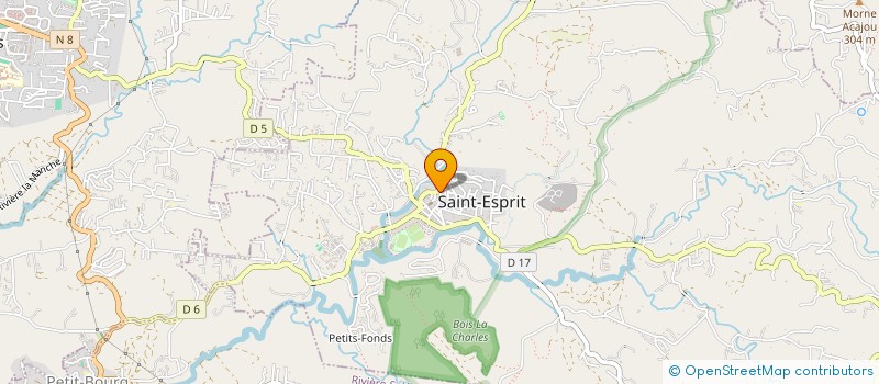 localisation de l'entreprise INSTITUT CARAIBE POUR LE DEVELOPPEMENT DE LA PERSONNE à SAINT-ESPRIT
