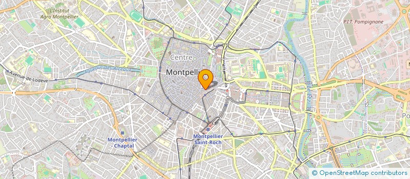localisation de l'entreprise INSTITUT CULTUREL FRANCO AMERICAIN à MONTPELLIER