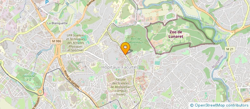 localisation de l'entreprise INSTITUT D'INNOVATIONS THERAPEUTIQUES à MONTPELLIER
