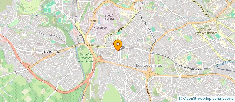 localisation de l'entreprise INSTITUT D'O PASSO à MONTPELLIER