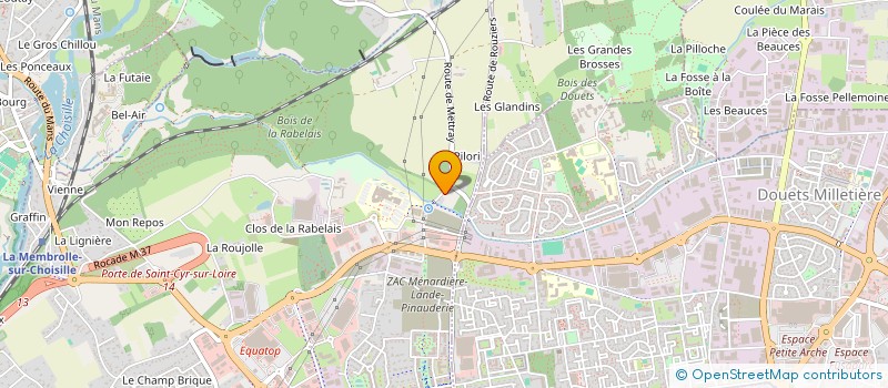 localisation de l'entreprise INSTITUT DE DYNERVOLOGIE  SAINT-CYR-SUR-LOIRE