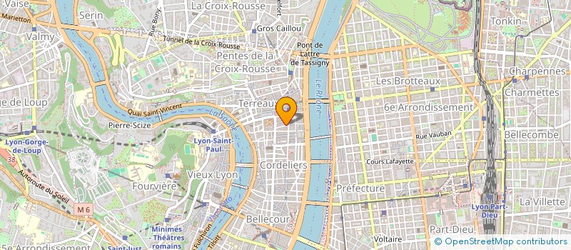 localisation de l'entreprise INSTITUT DE L EURO à LYON