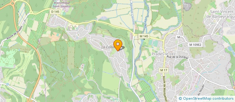 localisation de l'entreprise INSTITUT DE PSYCHOSOMATIQUE MONTPELLIER  SAINT-CLEMENT-DE-RIVIERE