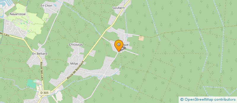 localisation de l'entreprise INSTITUT DE THERAPIES NATURELLES  BISCARROSSE