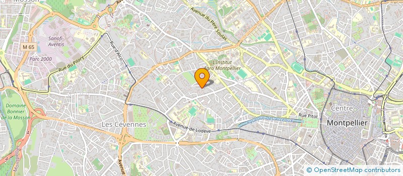 localisation de l'entreprise INSTITUT DES ARTS MARTIAUX DE MONTPELLIER à MONTPELLIER