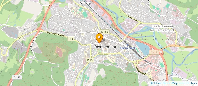 localisation de l'entreprise INSTITUT DES DAUPHINS à REMIREMONT