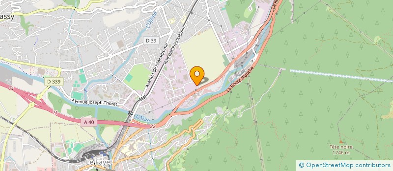 localisation de l'entreprise INSTITUT ECOCITOYEN DE RECHERCHE ET D'ACTION ENVIRONNEMENTALE DU PAYS DU MONT BLANC  PASSY