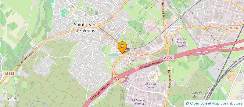 localisation de l'entreprise INSTITUT EN SANTE DE L ADOLESCENT  SAINT-JEAN-DE-VEDAS