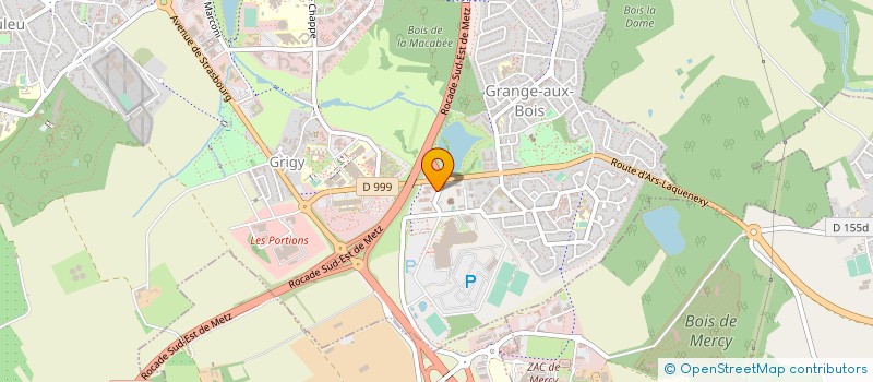 localisation de l'entreprise INSTITUT EUROPEEN CHANT CHORAL LORRAINE  METZ