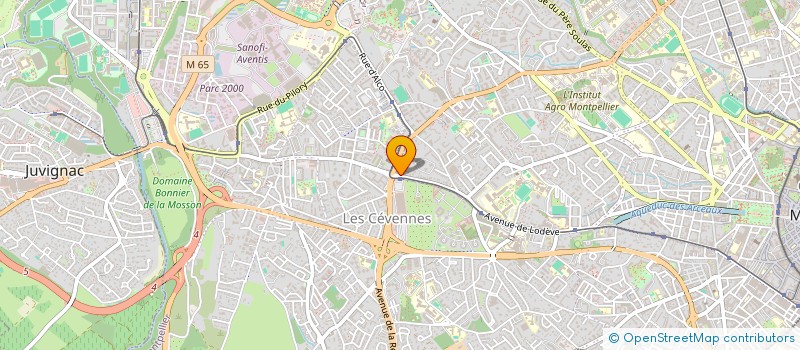 localisation de l'entreprise INSTITUT INTERNATIONAL D'ETUDES GEOPOLITIQUES à MONTPELLIER