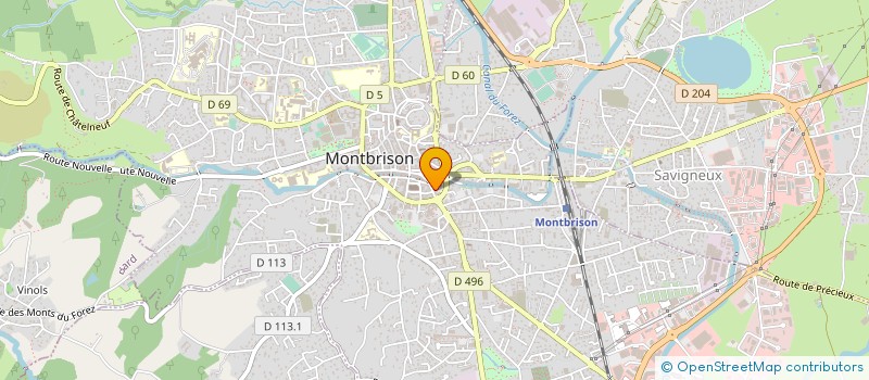 localisation de l'entreprise INSTITUT L'ORCHIDEE  MONTBRISON