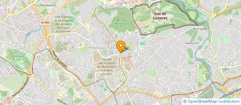 localisation de l'entreprise INSTITUT MONTARRY ECOLE LANGUES EN OC à MONTPELLIER
