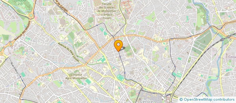 localisation de l'entreprise INSTITUT MONTPELLIERAIN ETUDES FRANCAISE à MONTPELLIER