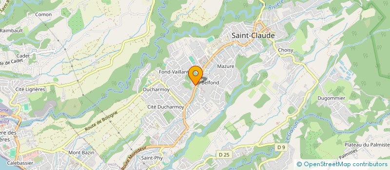 localisation de l'entreprise INSTITUT NEUROFEEDBACK REGION BASSE-TERRE à SAINT-CLAUDE