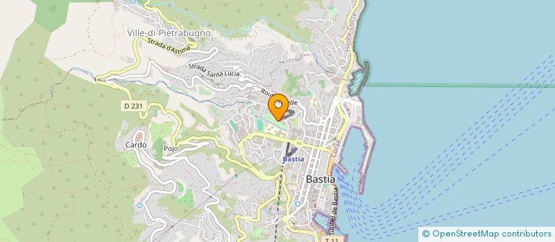 localisation de l'entreprise INSTITUT RECH EN TECHNIQUES ENERGETIQUES à BASTIA