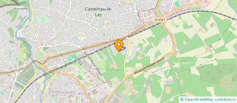 localisation de l'entreprise INSTITUT RIMBAUD à CASTELNAU-LE-LEZ