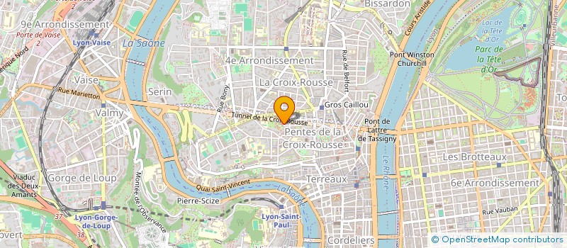 localisation de l'entreprise INSTITUT RUSSE à LYON