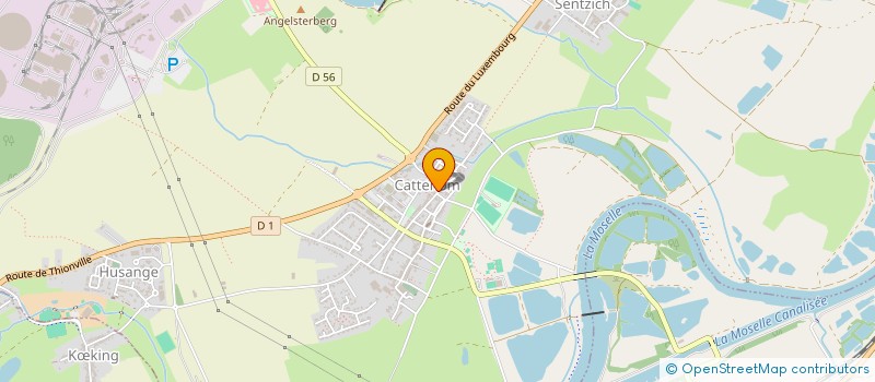 localisation de l'entreprise INSTRU-VISION à CATTENOM