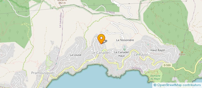 localisation de l'entreprise INSTRUMENTS ET MEDICAMENTS DE FRANCE à RAYOL-CANADEL-SUR-MER