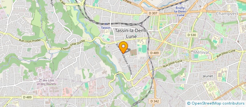 localisation de l'entreprise INT CONSULTING à TASSIN-LA-DEMI-LUNE