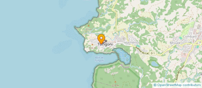 localisation de l'entreprise INTEGRAL DISTRIBUTION MAYOTTE à TSINGONI