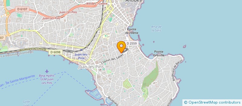 localisation de l'entreprise INTELITE à ANTIBES
