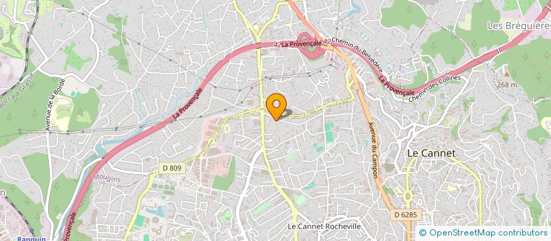 localisation de l'entreprise INTELLICO à LE CANNET